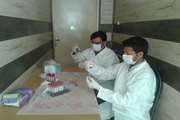 پایان عملیات خونگیری و آزمایش رزبنگال جهت تشخیص بیماری تب مالت ازگاوهای شیری شهرستان پارسیان
