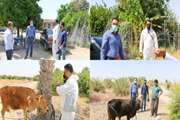 دکتر جانباز مدیرکل دامپزشکی استان  هرمزگان، شخصا" از اجرای عملیات واکسیناسیون ضربتی در جمعیت دام سنگین منطقه توکهور و هشتبندی بازدید نمود.