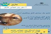 سازمان دامپزشکی کشور با صدور اطلاعیه ای روز جهانی هاری را گرامیداشت و خواستار آگاهی رسانی همه جانبه تمام فعالان رسانه ای، کارشناسان و کنشگران اجتماعی که دغدغه سلامتی آحاد شهروندان را دارند شد.