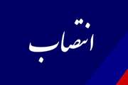 طی مراسمی، خانم دکتر شهریاری زاده به سمت رییس اداره بهداشت و مدیریت بیماری های طیور، زنبورعسل و کرم ابریشم اداره کل دامپزشکی استان هرمزگان منصوب گردید 