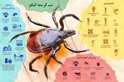 توصیه های بهداشتی دامپزشکی را، به منظور پیشگیری از ابتلا به بیماری خطرناک تب خونریزی دهنده کریمه کنگو (CCHF) جدی بگیرید.