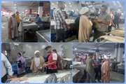 بازار ماهی فروشان شهر بندرعباس، به منظور تأمین آبزیان حلال مورد استفاده شهروندان، تحت بازدید مسؤول دفتر نمایندگی ولی فقیه در دامپزشکی استان هرمزگان، قرار گرفت