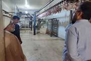 بازدید از کشتارگاه صنعتی مرغ درتوجان در حوزه شهرستان بندرعباس انجام شد