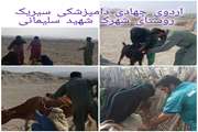 برگزاری اردوی جهادی دامپزشکی در روستاهای شهرستان سیریک 