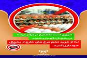 یکی از ضروریت ها در خصوص تخم مرغ سالم 