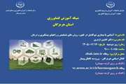 آشنایی با بیماری نیوکاسل در طیور؛ از روش‌های تشخیص تا راه‌های پیشگیری و درمان
