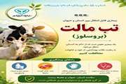راه های پیشگیری از تب مالت