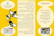 نشانه های عمومی و کنترل و پیشگیری ازبیماری نوزما