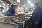 مدیر کل دامپزشکی استان هرمزگان از بازار ماهی فروشان شهرستان بندرعباس بازدید کرد .  