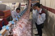 بازدید مدیر کل دامپزشکی استان هرمزگان از کشتارگاه طیور شهرستان پارسیان 