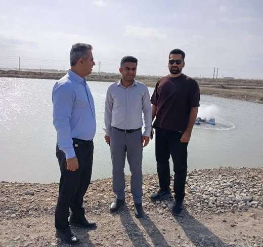 بازدید مدیرکل دامپزشکی استان هرمزگان از سایت پرورش میگو 