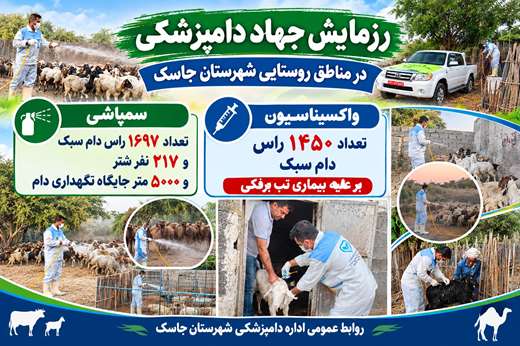 برگزاری رزمایش جهاد دامپزشکی در شهرستان جاسک
