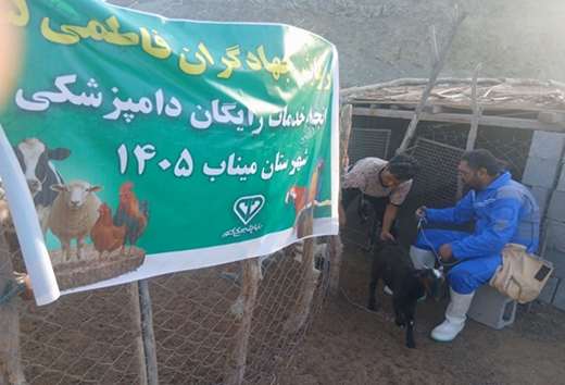 اردوی جهادی دامپزشکی علیه بیماری تب برفکی در شهرستان میناب