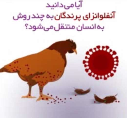 آنفلوانزای پرندگان