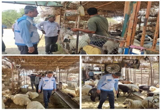 میدان دام
