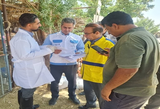 بازدید سرزده