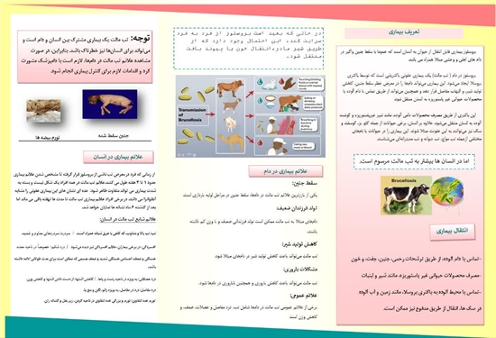 تب مالت 