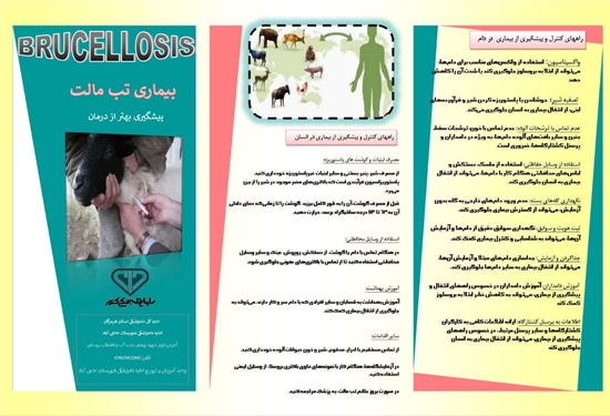 تب مالت  
