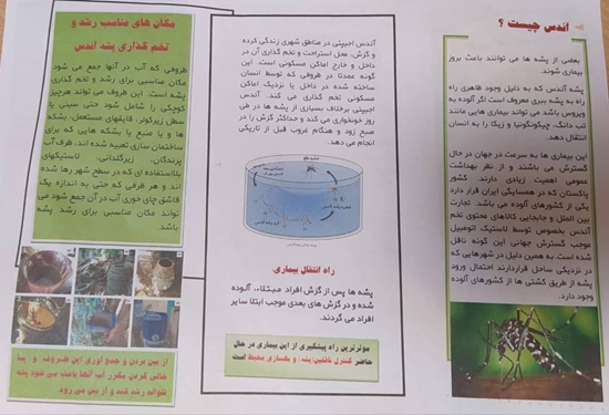 بهداشتی 