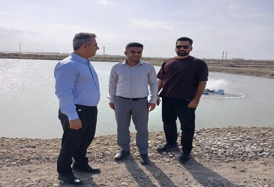 سایت 