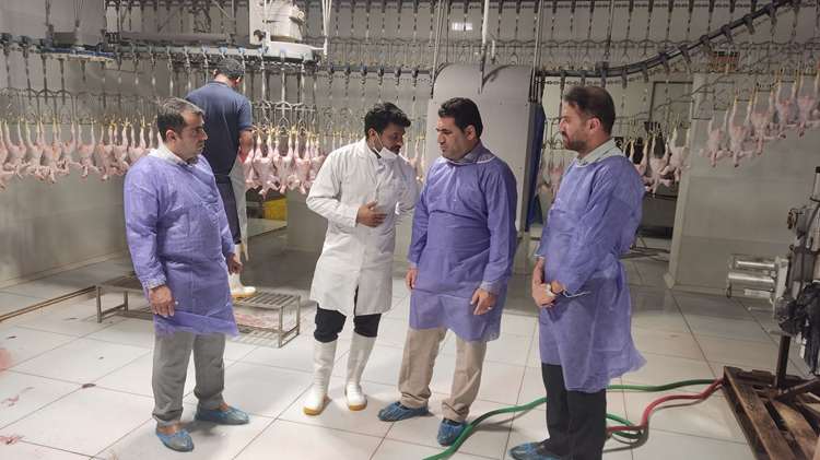 بازدید مشترک رؤسای ادارات دامپزشکی و جهاد کشاورزی از کشتارگاه طیور شهرستان میناب
