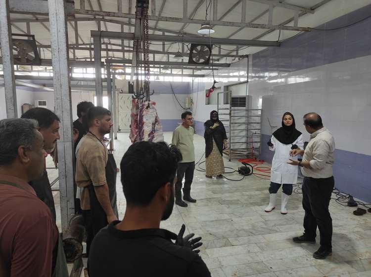 برگزاری کلاس آموزشی بیماری تب کریمه کنگو در کشتارگاه دام قشم