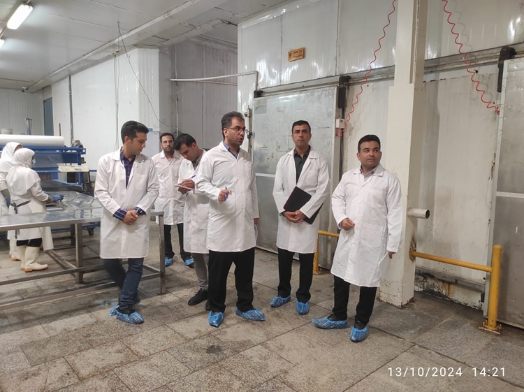 ممیزی واحدهای آماده سازی و انجماد آبزیان شهرستان بندرلنگه