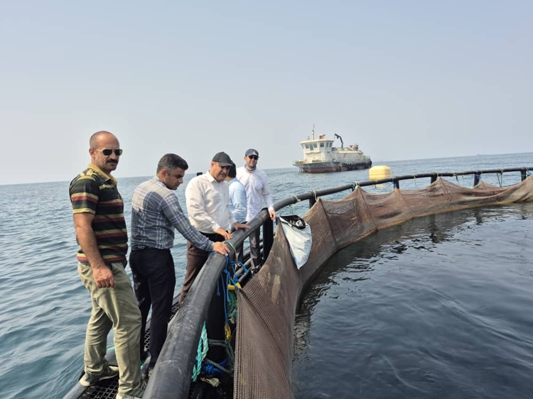 بازدید از سایت پرورش ماهی در قفس طرح توسعه نیکسا به مناسبت هفته دولت