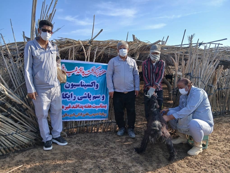 انجام واکسیناسیون علیه بیماری تب برفکی در توابع شهرستان میناب